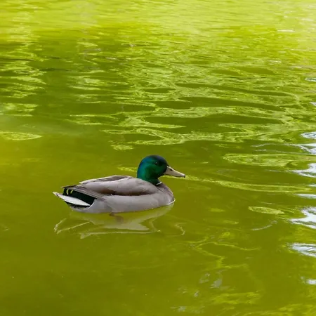 公寓 Charming Centre