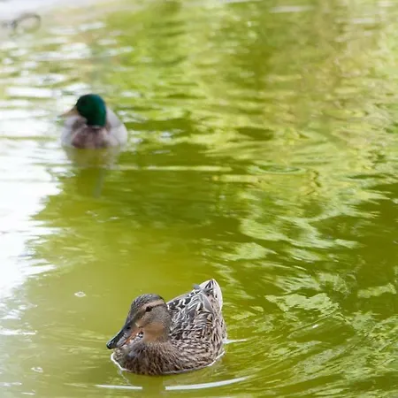 Charming Centre 公寓 Lisboa