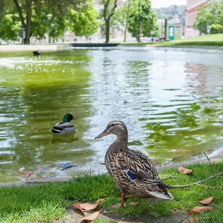 Charming Centre Апартаменты Лиссабон
