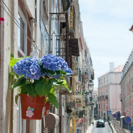Charming Centre Appartamento *